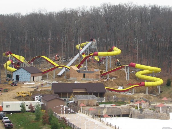 Wildebeest at Holiday World Wildebeest at Holiday World