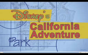 Do you see what I see?