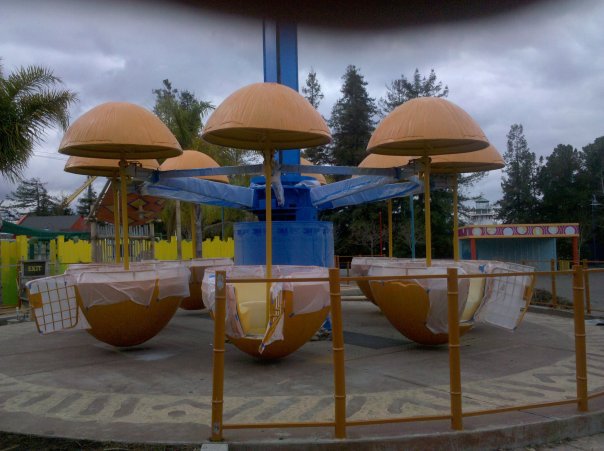 The Great Pumpkin Patch