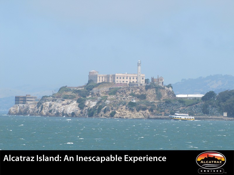 Alcatraz Head