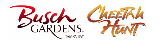 Busch Gardens Tampa Bay 2011: Cheetah Hunt