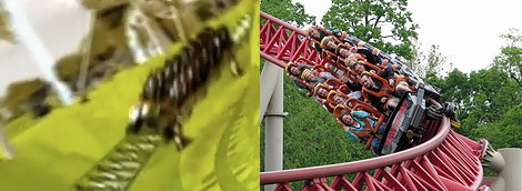 Maverick and Cheetah Hunt